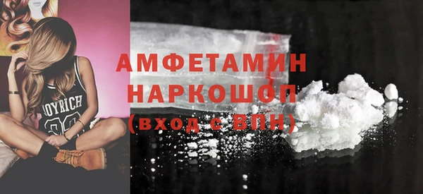 гидра Горнозаводск