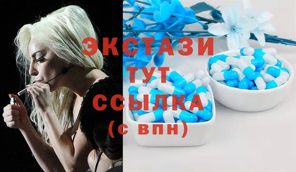 гидра Горнозаводск