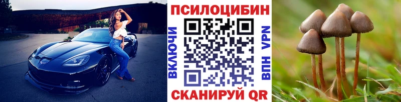 магазин продажи   Енисейск  Галлюциногенные грибы Cubensis 
